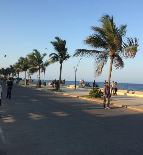 whatsapp image 2025 12 10 at 11.46.34 am