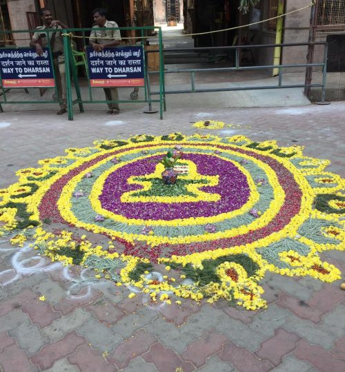 whatsapp image 2025 12 10 at 11.46.38 am