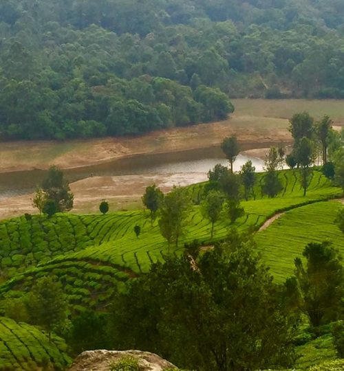 whatsapp image 2025 12 10 at 11.46.39 am