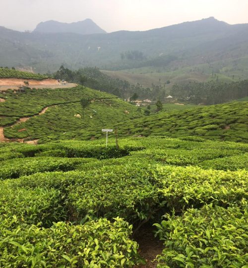 whatsapp image 2025 12 10 at 11.46.40 am