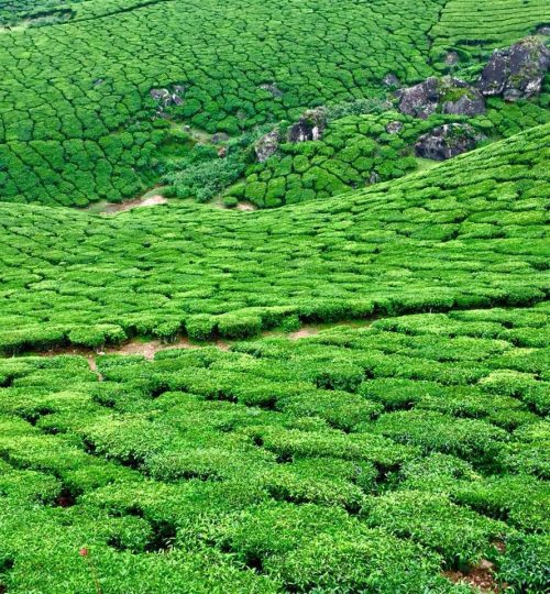 whatsapp image 2025 12 10 at 11.46.41 am